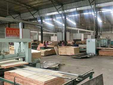 建筑模板生产现场